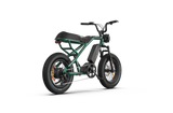 RAEV Bullet X /XF V2 Electric Bicycle