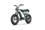 RAEV Bullet X /XF V2 Electric Bicycle