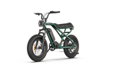 RAEV Bullet X /XF V2 Electric Bicycle