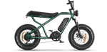 RAEV Bullet X E-Bike