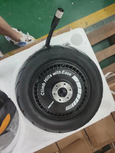 Inmotion RS Motor Assembly – Alien Rides