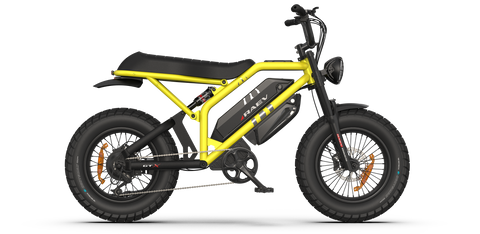 RAEV Bullet GTX Electric Bicycle – Alien Rides