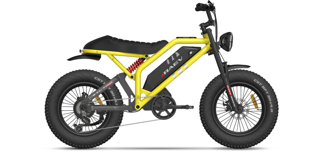 RAEV Bullet Pro EBike Alien Rides